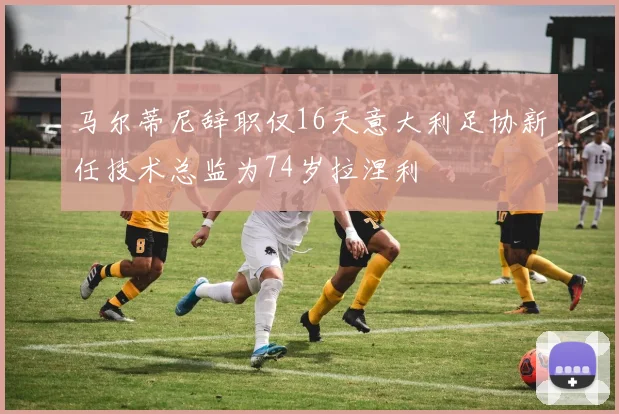 马尔蒂尼辞职仅16天意大利足协新任技术总监为74岁拉涅利